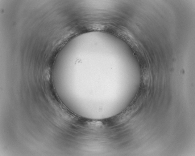 X0000088570374200706151652