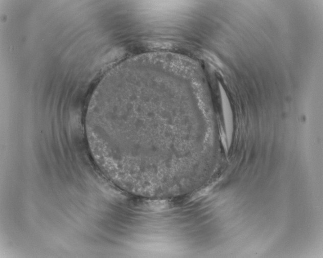 X0000088570377200706151652