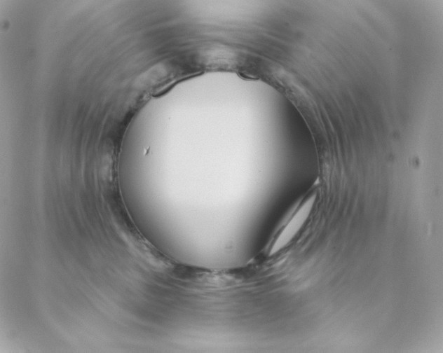 X0000088570379200706151652