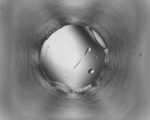 X0000088570380200706151652