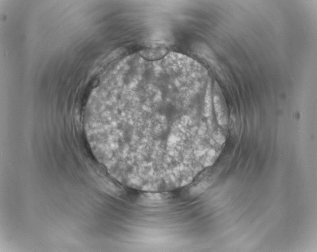 X0000088570381200706151652