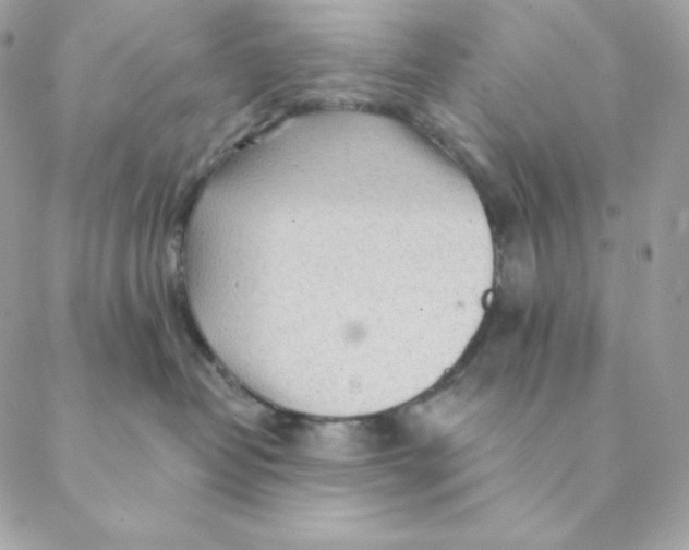 X0000088570382200706151652