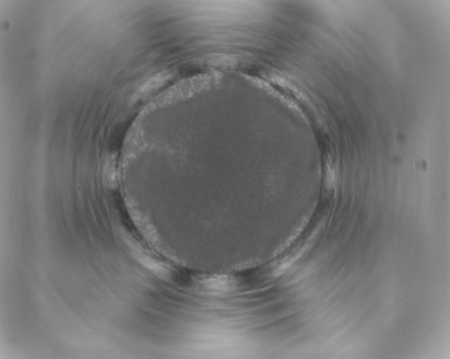 X0000088570383200706151652