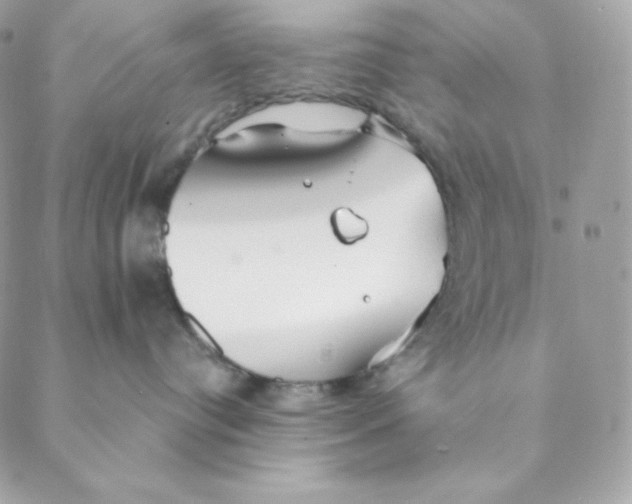 X0000088570384200706151652