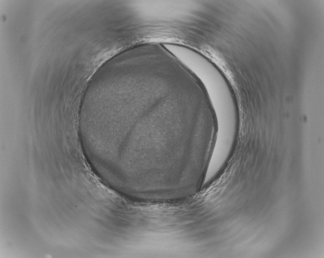 X0000088570385200706151652