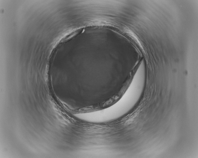 X0000088570387200706151652