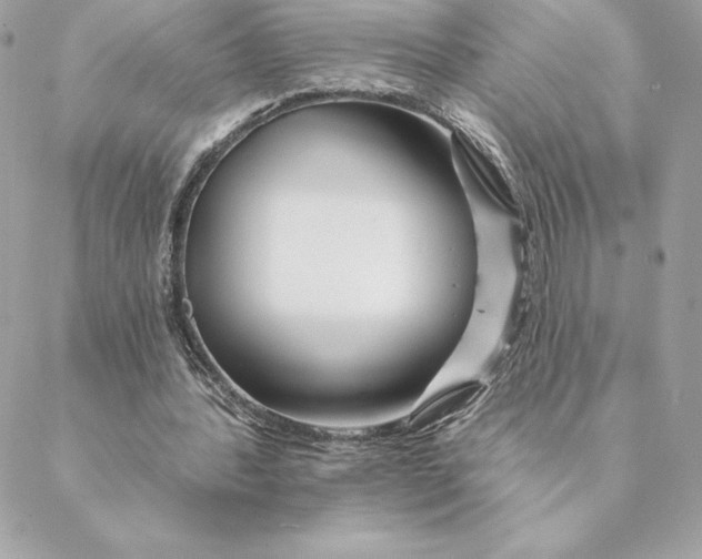 X0000088570388200706151652