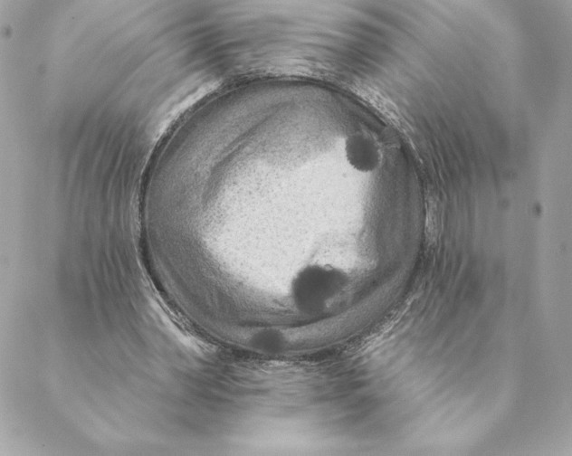 X0000088570390200706151652