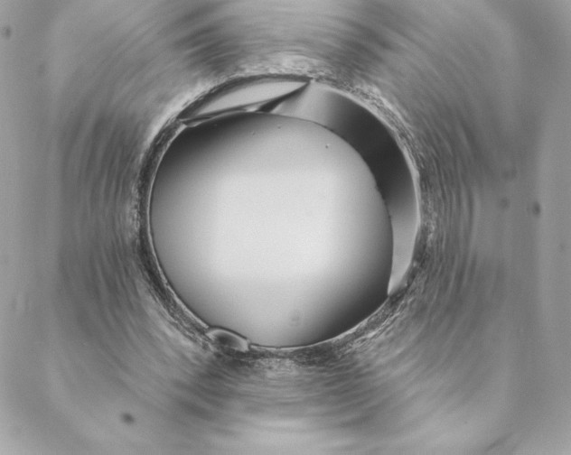 X0000088570392200706151652