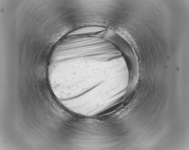 X0000088570393200706151652