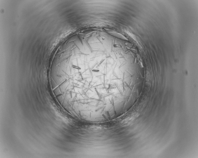 X0000088570394200706151652