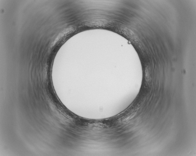 X0000088570396200706151652