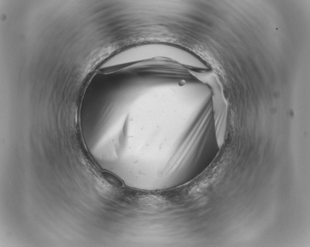 X0000088570397200706151651