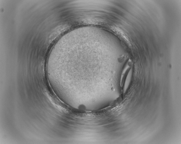 X0000088570398200706151651