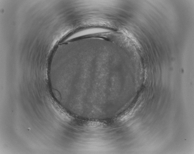 X0000088570399200706151651