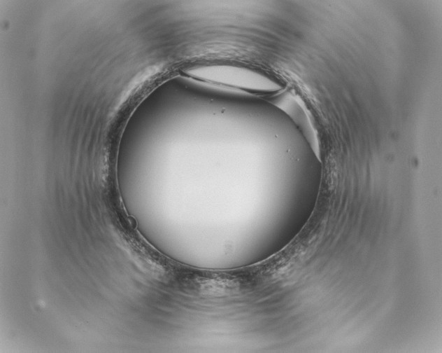 X0000088570400200706151651