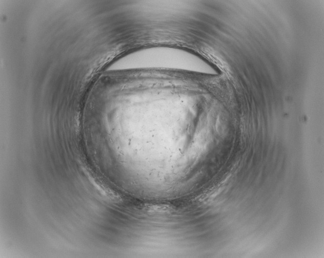 X0000088570401200706151651