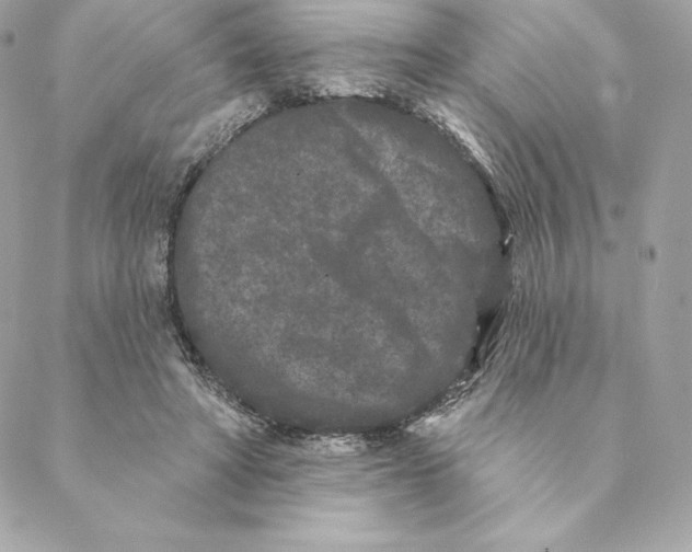 X0000088570402200706151651