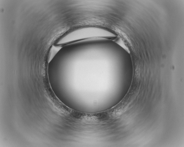 X0000088570403200706151651