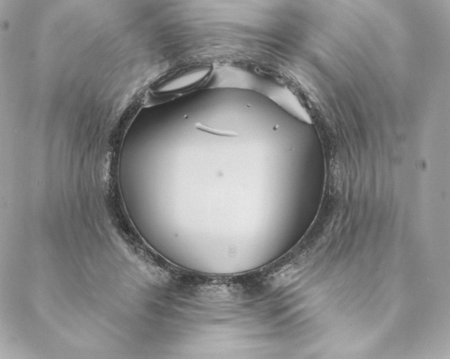 X0000088570404200706151651