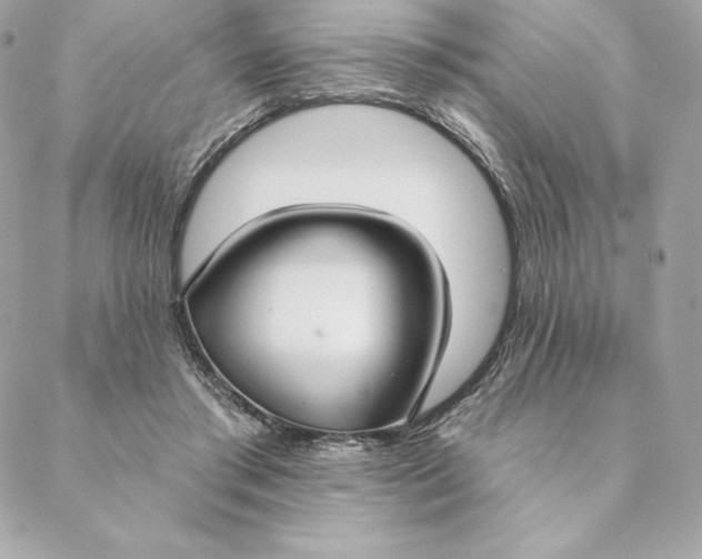 X0000088570405200706151651