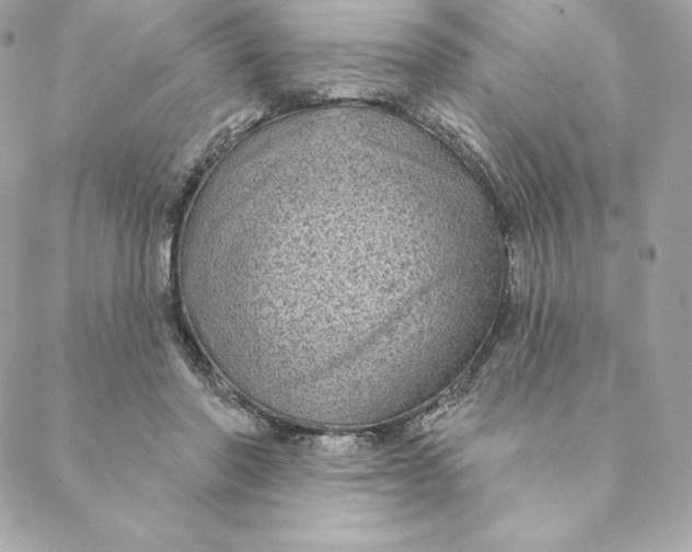 X0000088570406200706151651