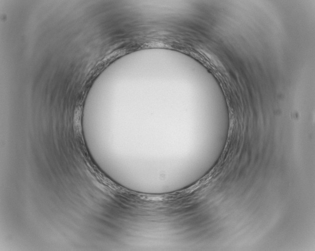 X0000088570409200706151651