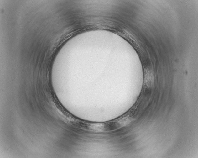 X0000088570410200706151651