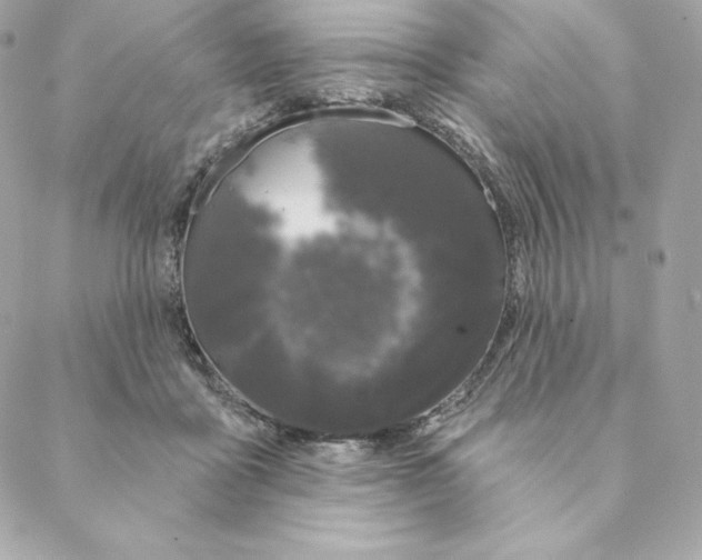 X0000088570411200706151651