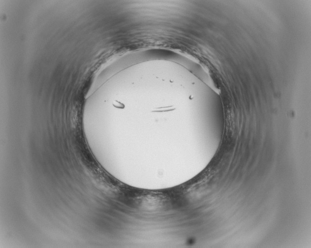 X0000088570412200706151651