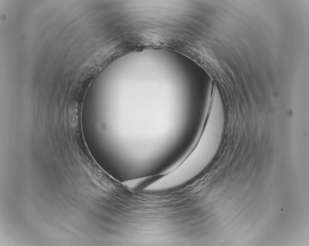 X0000088570413200706151651