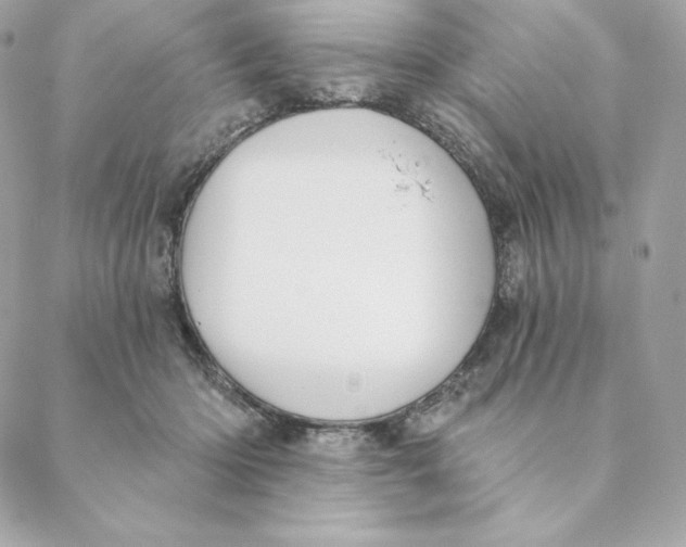 X0000088570414200706151651