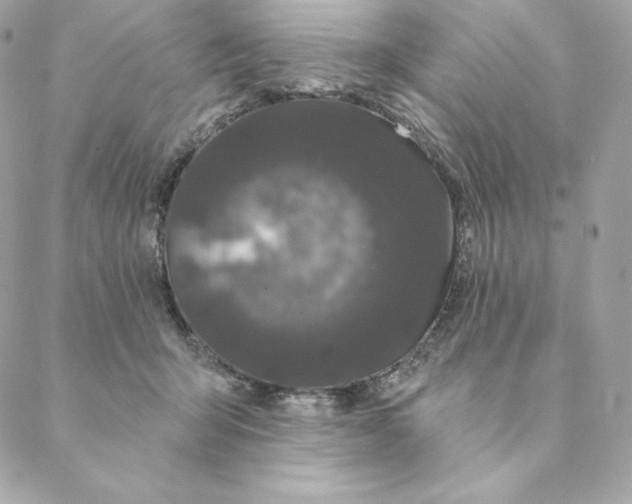 X0000088570415200706151651