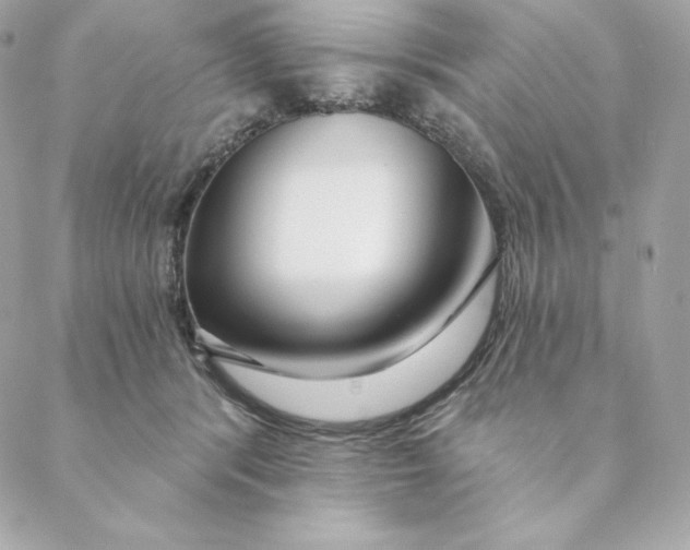 X0000088570416200706151651