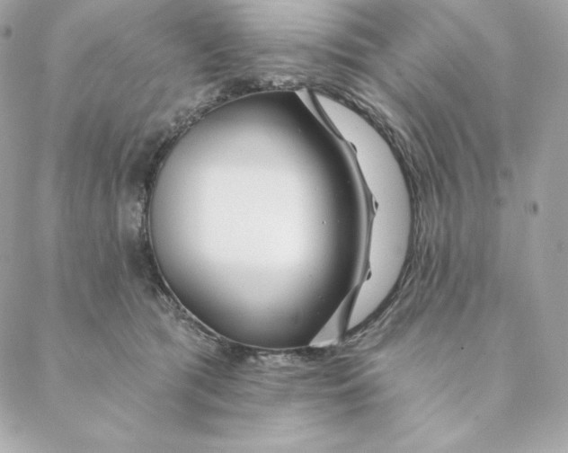 X0000088570417200706151651