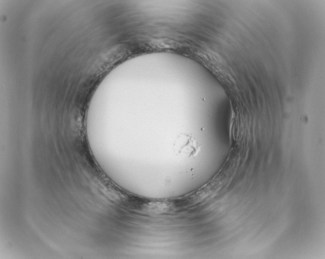 X0000088570418200706151651