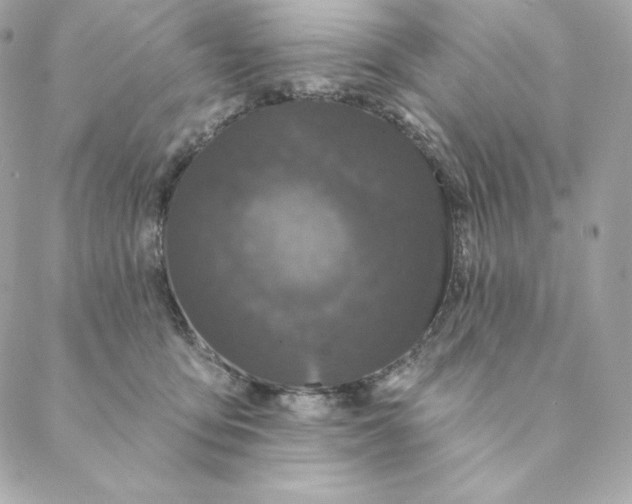 X0000088570419200706151651