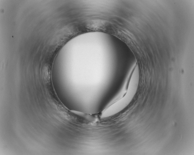 X0000088570420200706151651