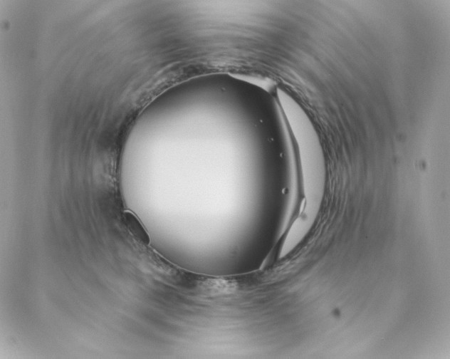 X0000088570421200706151651