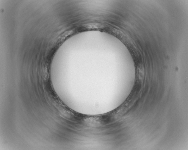 X0000088570422200706151651