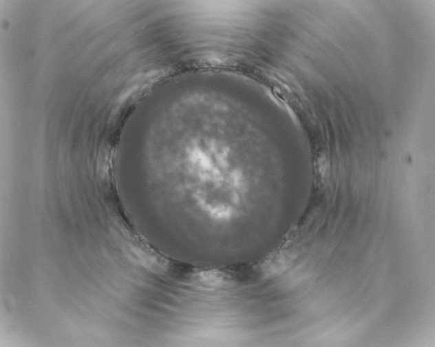 X0000088570423200706151651