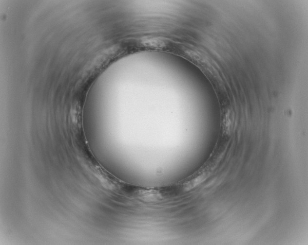 X0000088570424200706151651