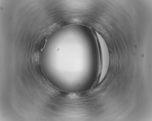 X0000088570425200706151651