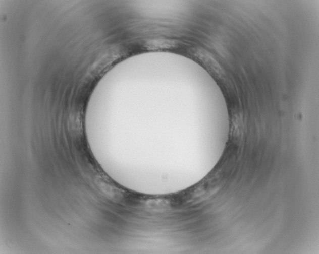 X0000088570426200706151651