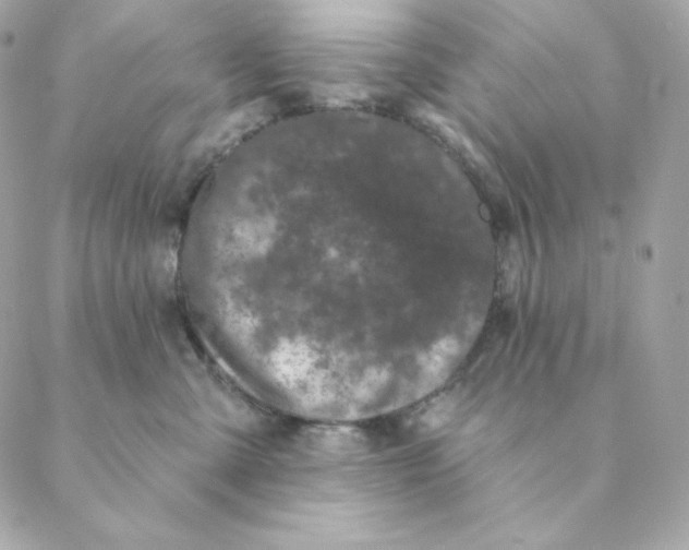 X0000088570427200706151651