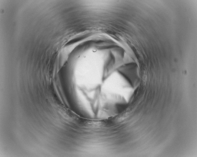 X0000088570428200706151651