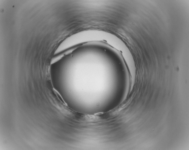 X0000088570429200706151651