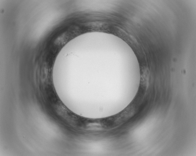 X0000088570430200706151651