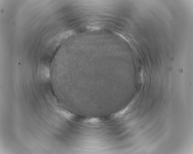 X0000088570431200706151651