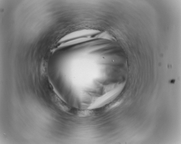 X0000088570432200706151651